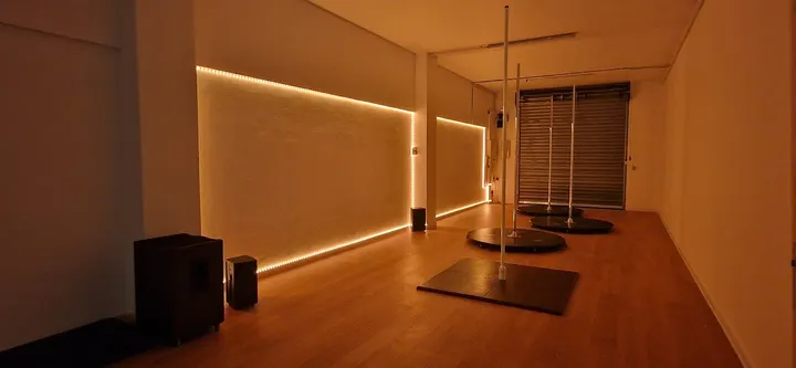Swing & Pole Studio — pole fitness-studio à Balma, Toulouse — 2