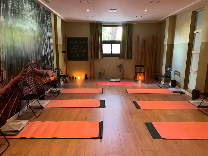 Alaya Espacio Yoga — Yoga en Villa del Prado, Valladolid