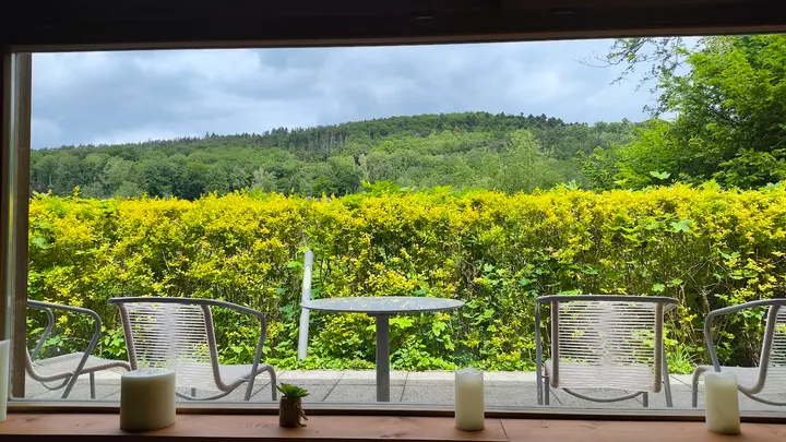 Kelo-Sauna Schlangenbad — recovery-studio in Schlangenbad — 3