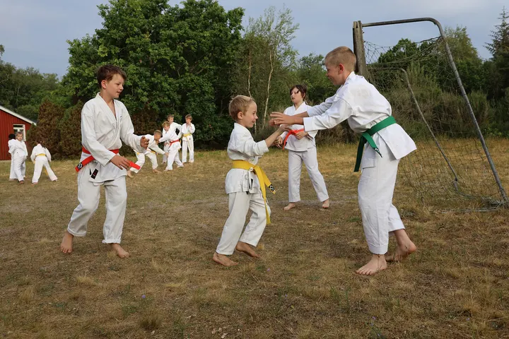 Karatecenter Horsens — kampsport-studio i Horsens — 4