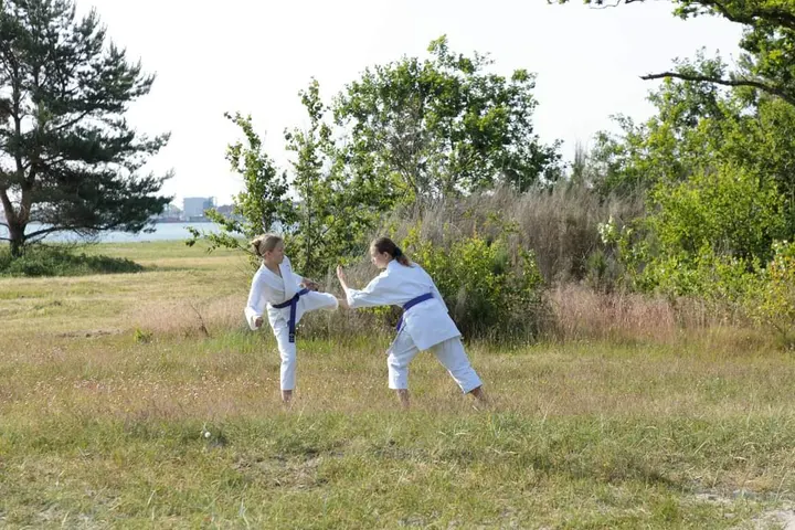 Karatecenter Horsens — kampsport-studio i Horsens — 5