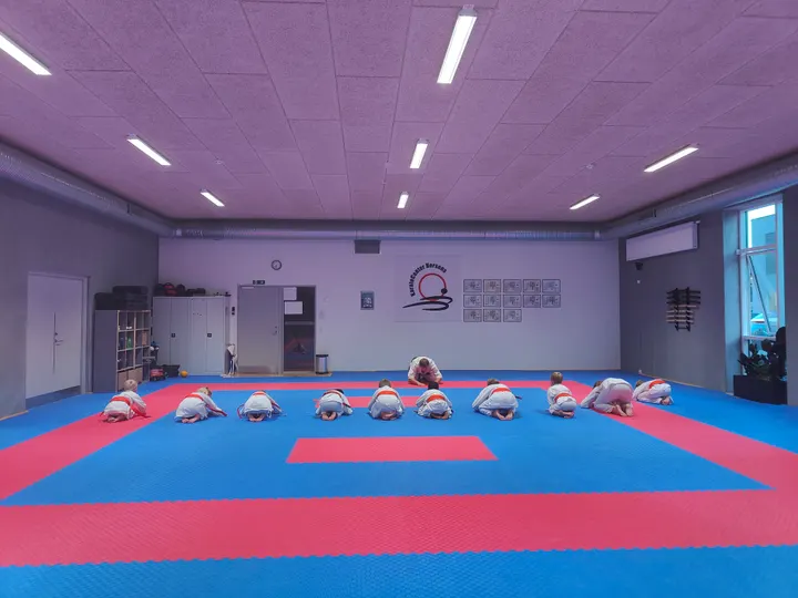 Karatecenter Horsens — martial arts-studio i Hammersholm, Horsens