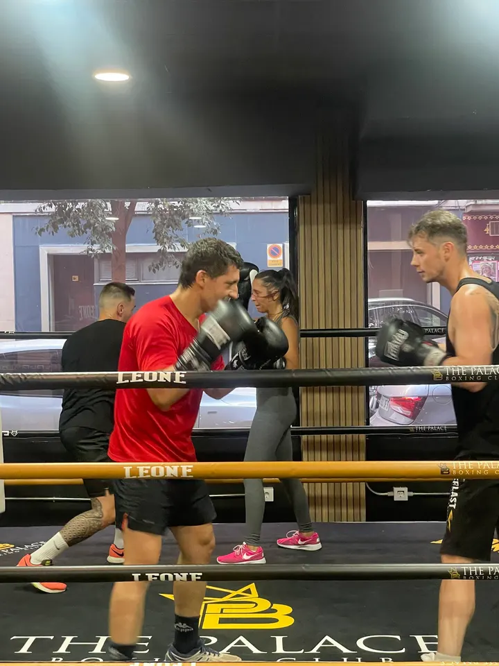 The Palace Boxing Club — artes marciales-studio en Chamartín, Madrid — 2
