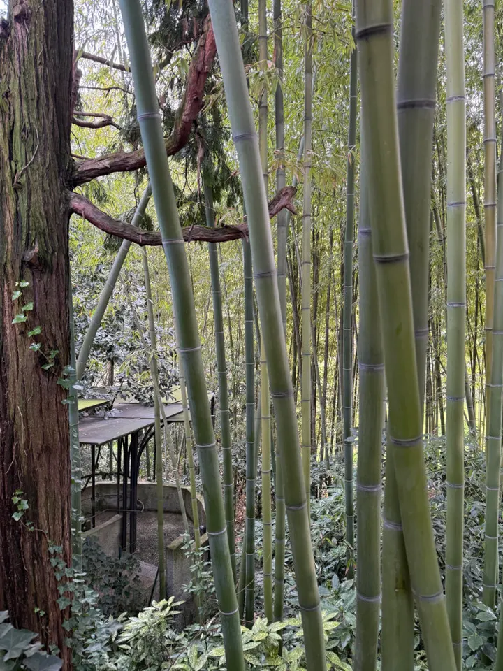 Oasi Eden centro di mindfulness — meditazione-studio a San Carlo, Monza — 3