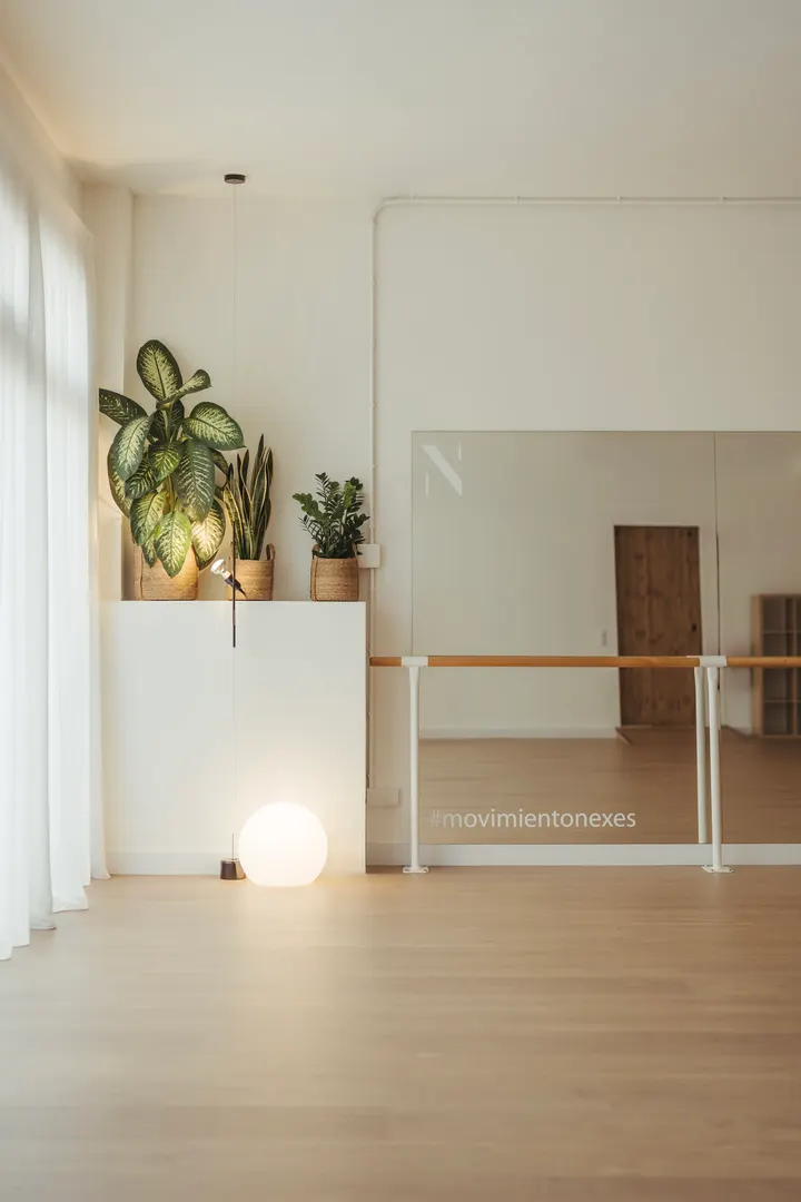 Nexes Pilates Mallorca — pilates-studio en Palma — 3