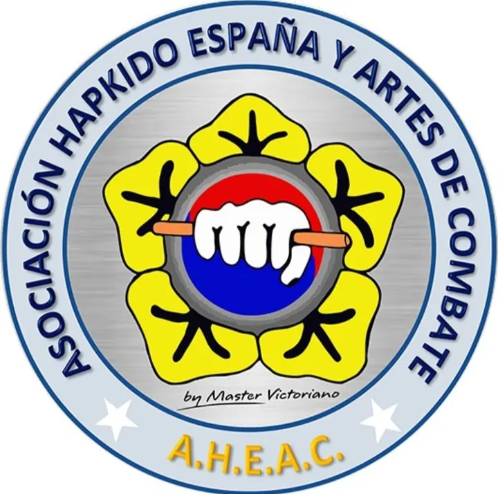 Escuela de Artes Marciales A.H.E.A.C. — artes marciales-studio en Murcia — 5