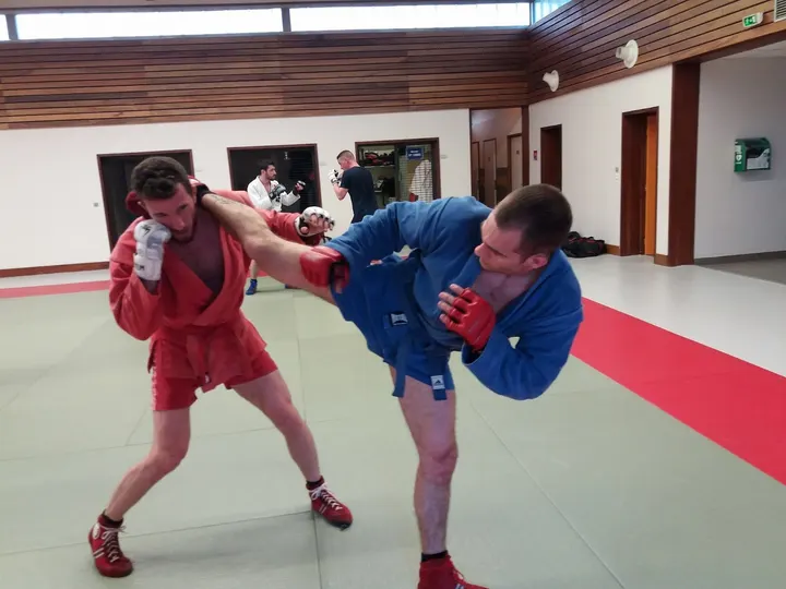 Combat Sambo Defense Systems — arts martiaux-studio à L'Hermitage, Saint-Martin-le-Vinoux — 3