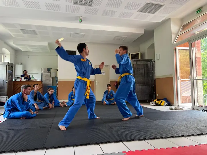 VOVINAM VIET VO DAO BORDEAUX — arts martiaux-studio à Bordeaux — 4