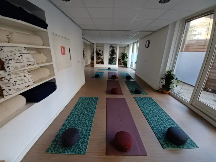 Divine Soul Yoga — yoga-studio in Amsterdam — 3