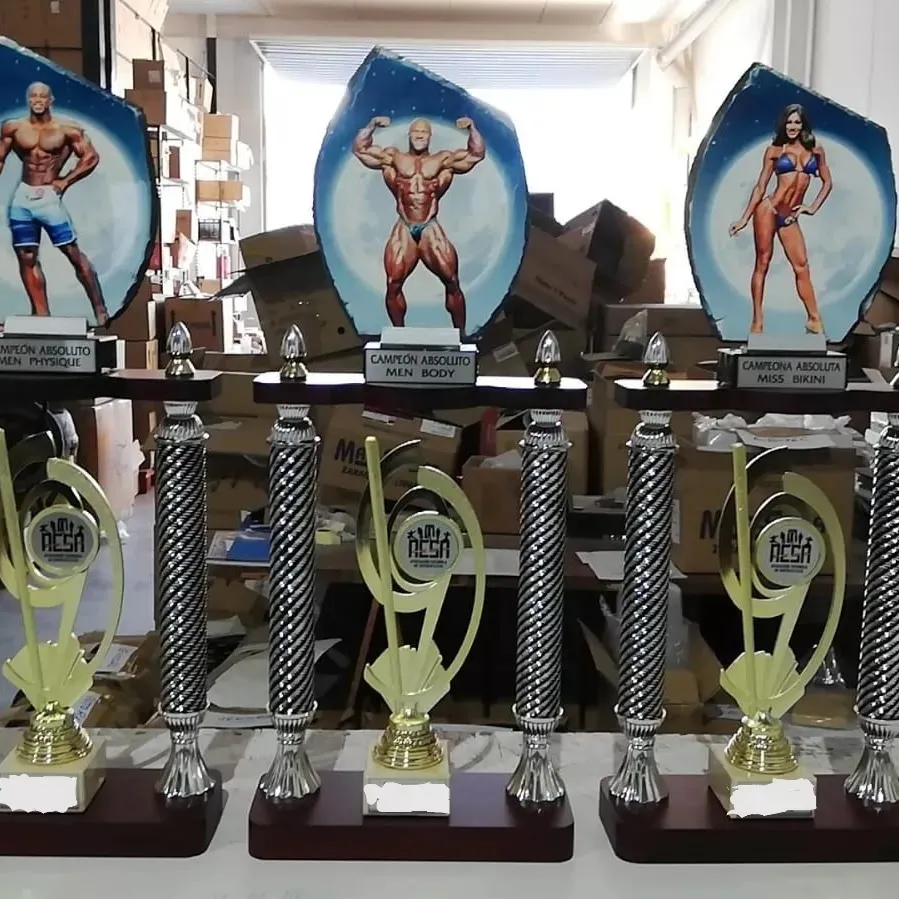 Villesport — estudio de fitness-studio en Villena — 3