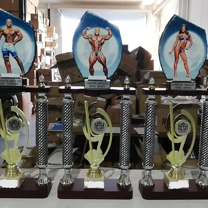 Villesport — estudio de fitness-studio en Villena — 3