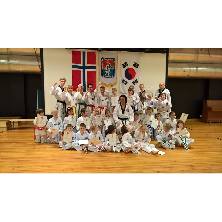 Hwa Rang Academy Heggedal — kampsport-studio i Heggedal — 5