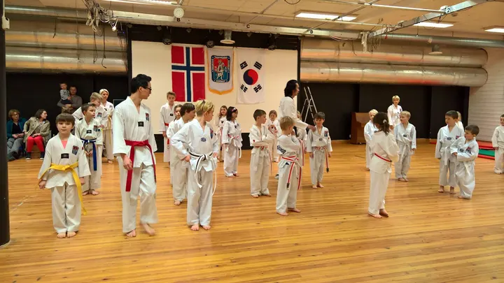 Hwa Rang Academy Heggedal — Kampsport i Homansbyen, Heggedal