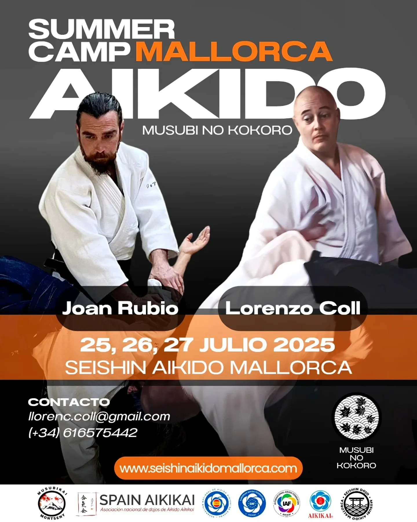 Seishin Aikido Mallorca — kampsport-studio i Palma — bild 3