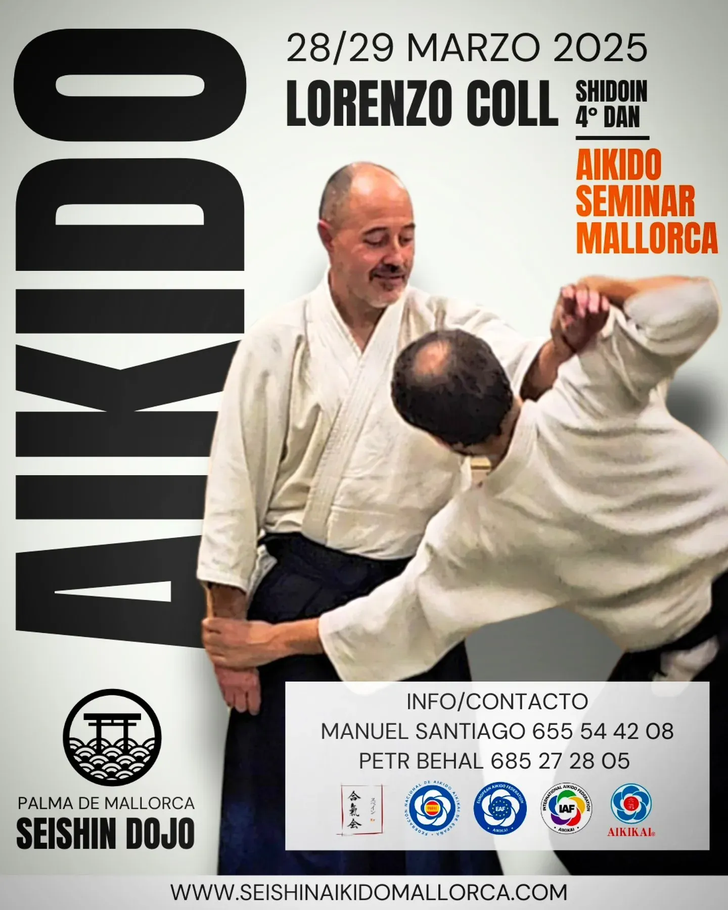 Seishin Aikido Mallorca — kampsport-studio i Palma — bild 4