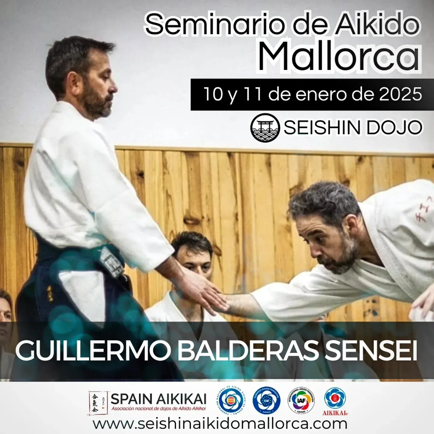 Seishin Aikido Mallorca — kampsport-studio i Palma — bild 5