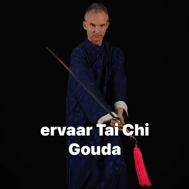 Tai-Chi school WuWei — Vechtsport in Paddestoelenbuurt, Alphen aan den Rijn