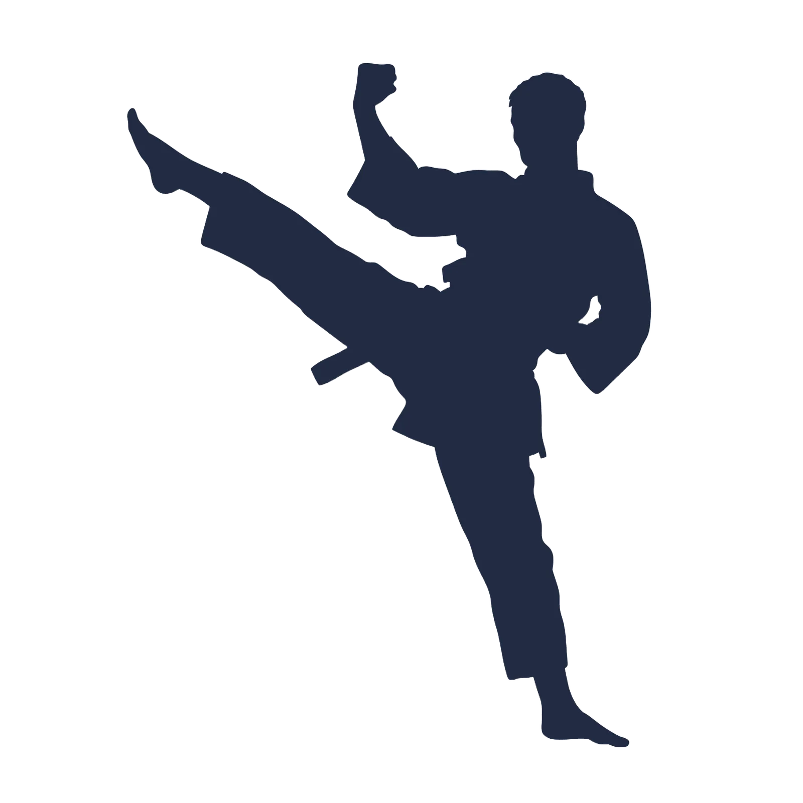 shotokan karate malmo, Limhamns Shotokan Karateklubb — kampsport-studio i Malmö — bild 2