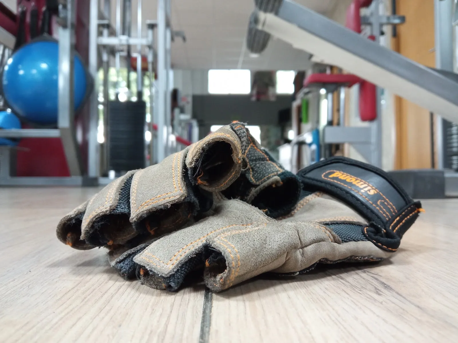 Reus Team — mma-studio en Reus — 3