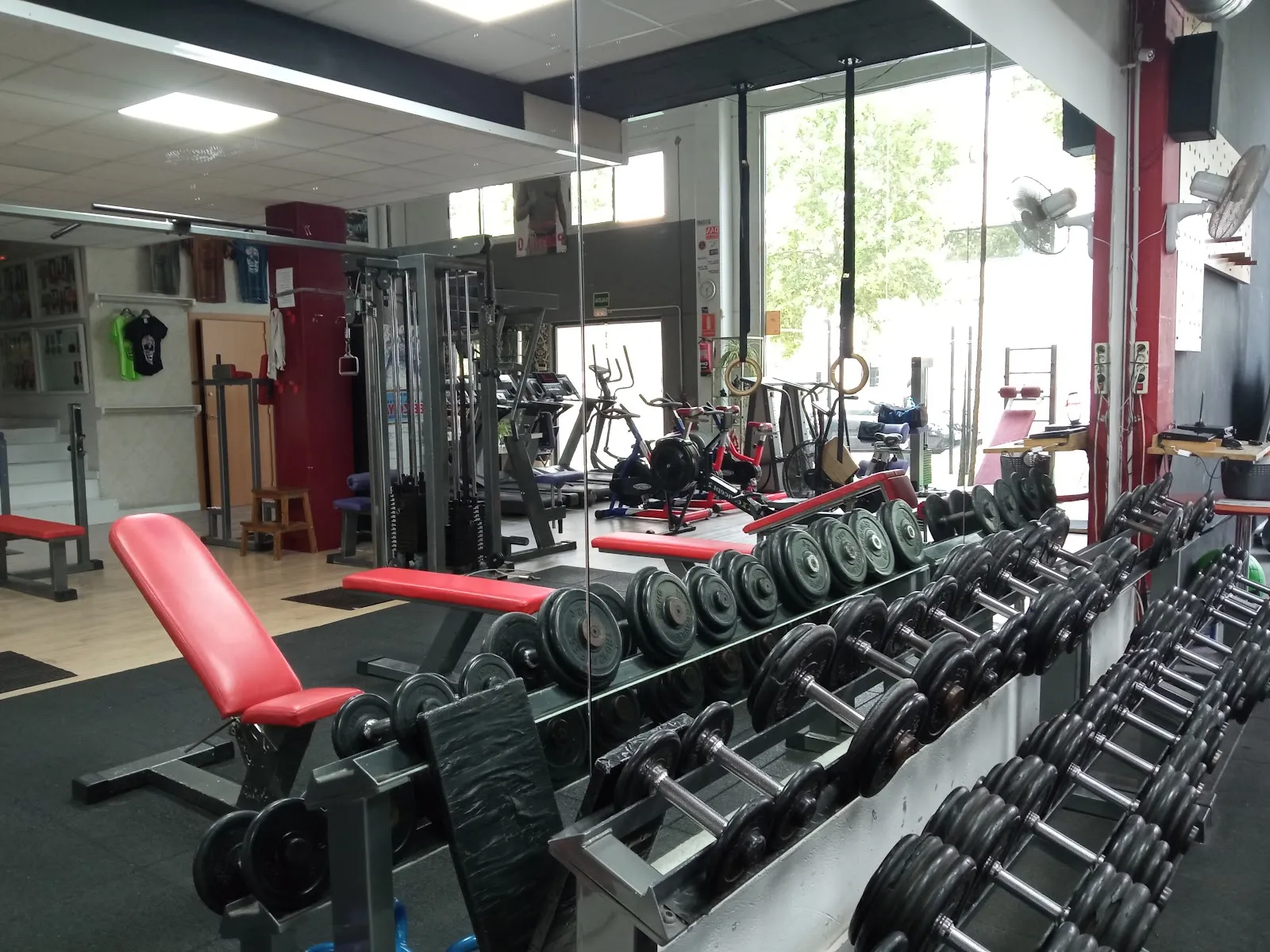 Reus Team — mma-studio en Reus — 5