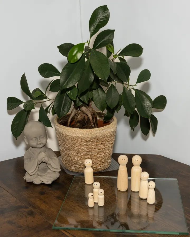 De Zwarte Kraanvogel — meditatie-studio in Steenbergen — 2