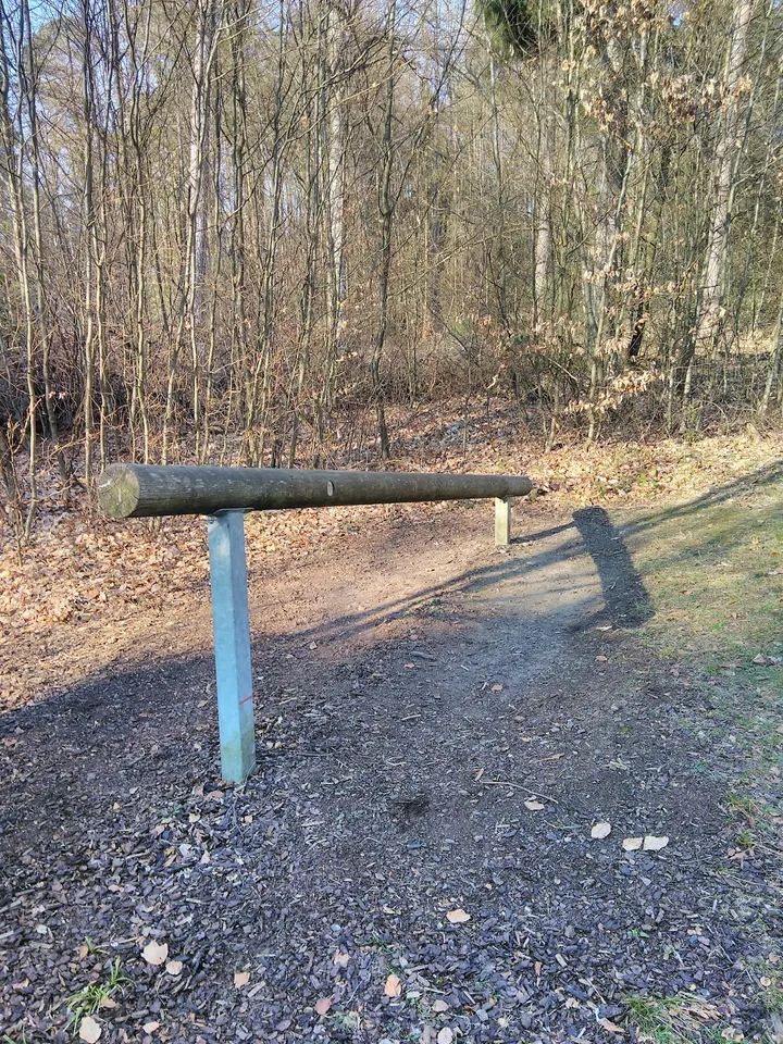 Trimm Dich Pfad Lahnberge — calisthenics-studio in Marburg — 4