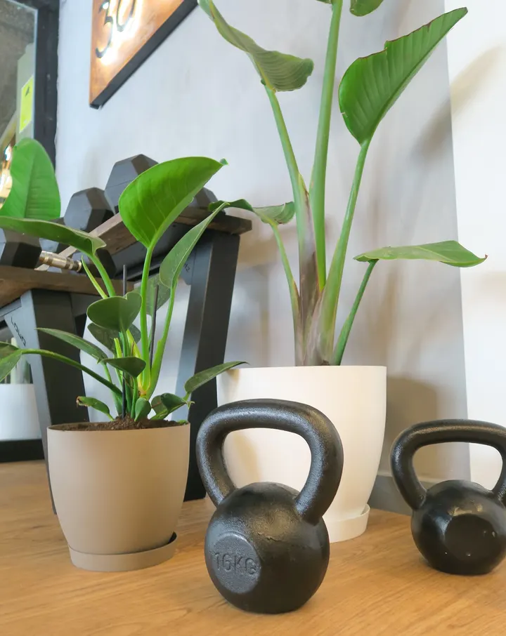 Fitness 360 — Estudio de fitness en Retiro, Madrid