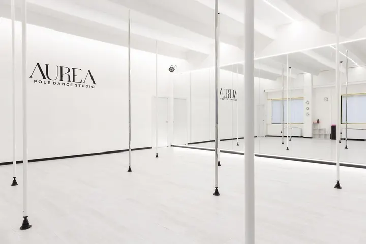 Aurea Pole Dance Studio — pole dance-studio a Cascina Casiglio, Moirago — 2