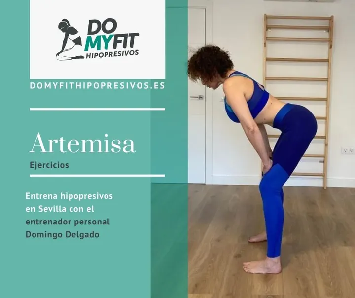DOMYFIT HIPOPRESIVOS SEVILLA. (Cambio de ubicación. Ahora en Av. Hytasa 125) — breathwork-studio en Huerta de la Salud, Sevilla — 2