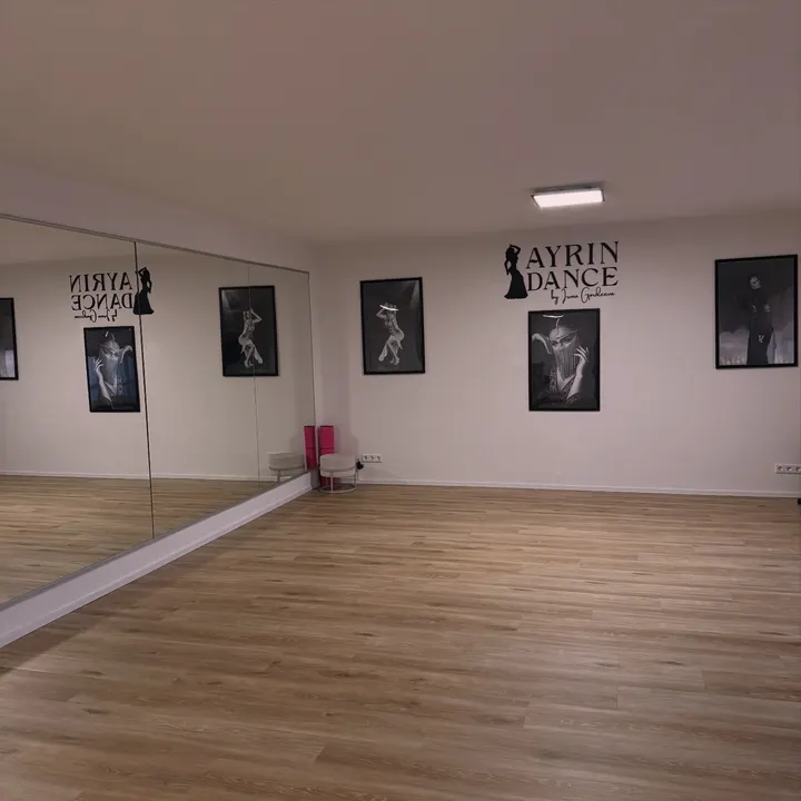 AYRIN Dance Bauchtanz Orientalischer Tanz — tanz-studio in Osnabrück — 4