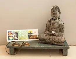 Art of Yoga — Yoga in Cellesbroedersespel, Kampen