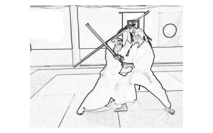 Ninryu Bujutsu Dojo — Kampsport i Carlsberg Byen, København