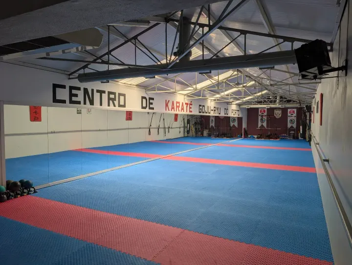 CKGP Centro de Goju-Ryu — artes marciais-studio em Ramalde, Porto — 3