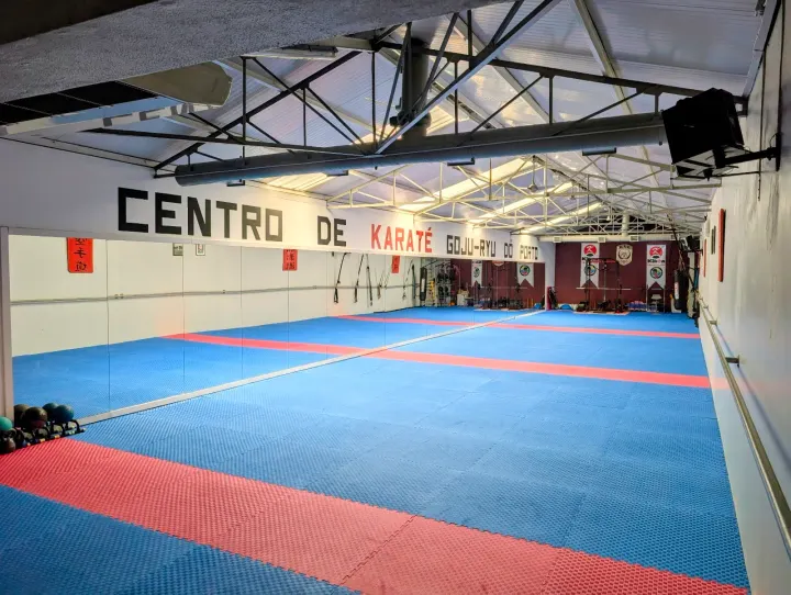 CKGP Centro de Goju-Ryu — artes marciais-studio em Porto — 3