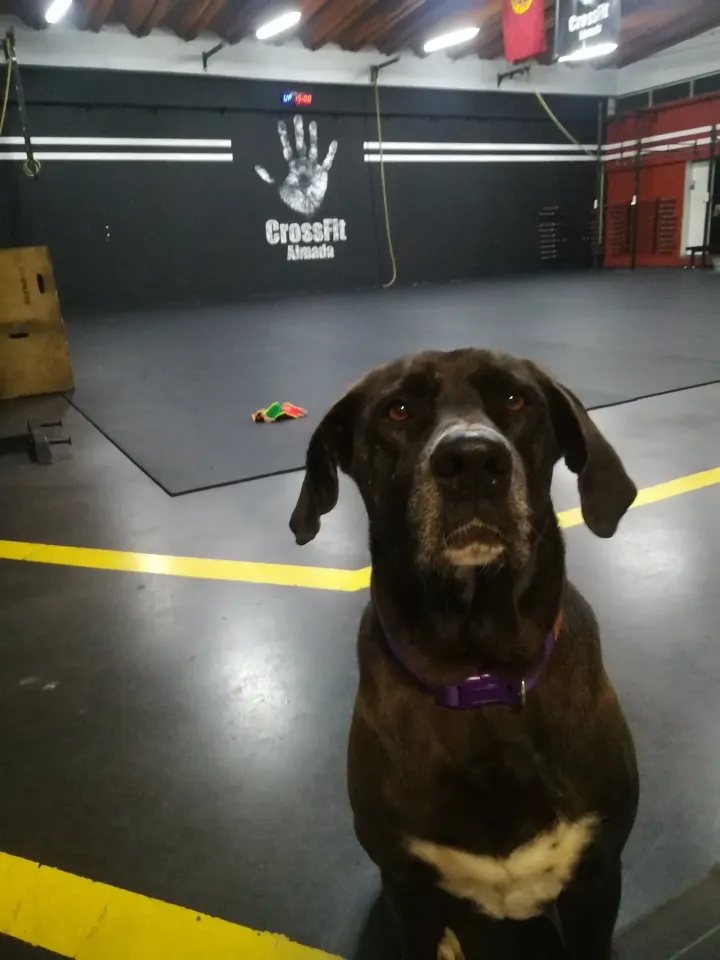 CrossFit Almada — crossfit-studio em Lisboa — 3