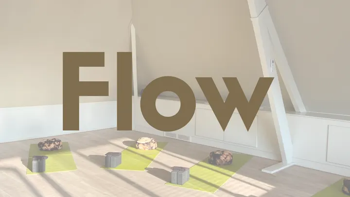 ZYN yoga & stressvermindering — yoga-studio in het Hoog, Bemmel — 3