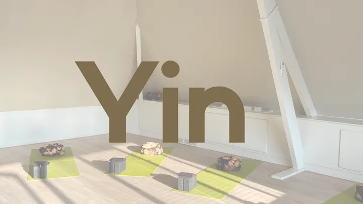 ZYN yoga & stressvermindering — yoga-studio in Bemmel — 3