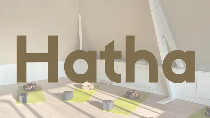ZYN yoga & stressvermindering — yoga-studio in Bemmel — 4
