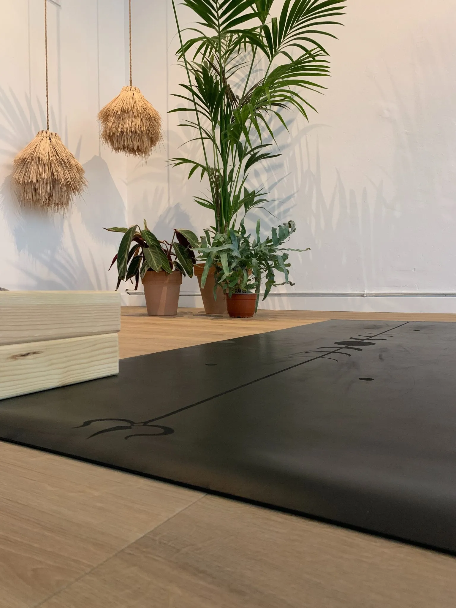 Muditā Yoga Horta — yoga-studio i Barcelona — bild 4