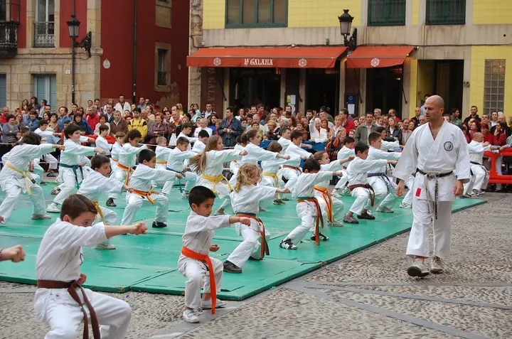 Escuela de Kárate Zurita — artes marciales-studio en Perchera-La Braña, Gijón — 2