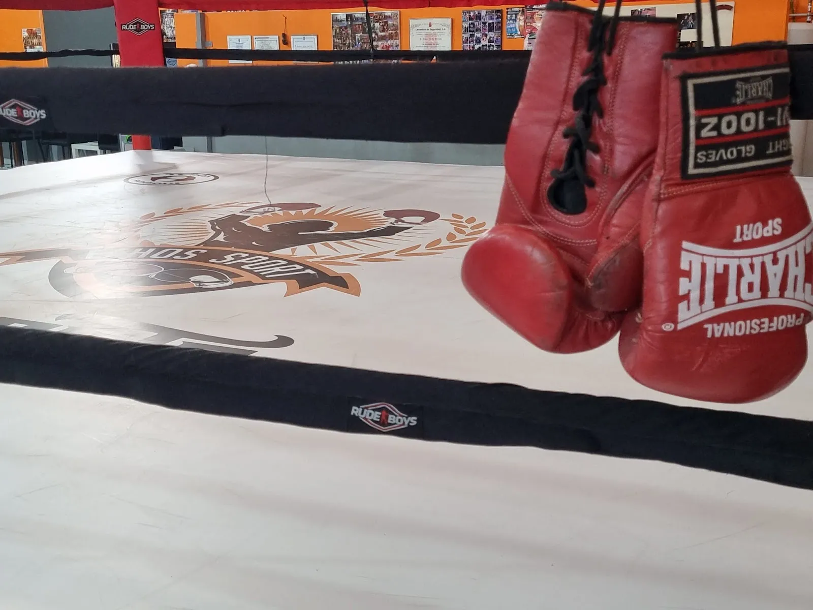Ethos Sport — boxeo-studio en Paiporta — 4