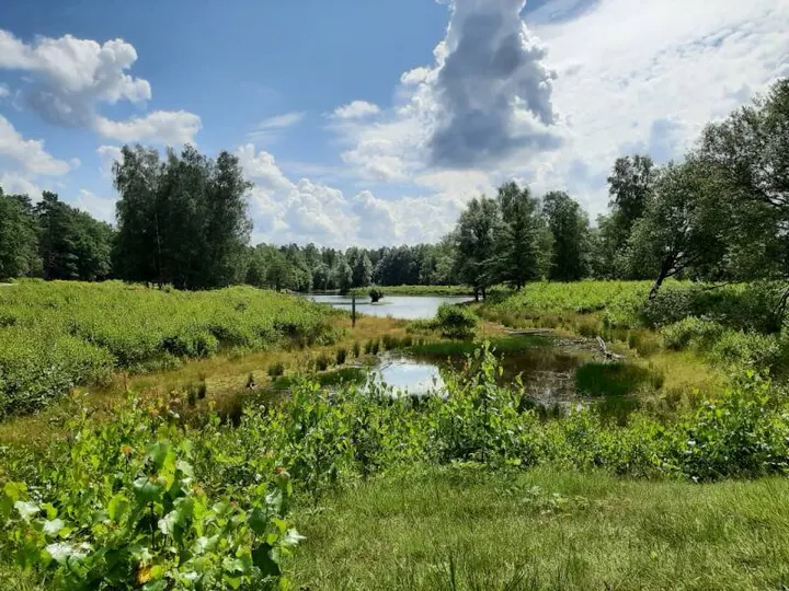 Natuurlijk, Yoga & Ontspanning — yoga-studio in Prinsenbeek — 4