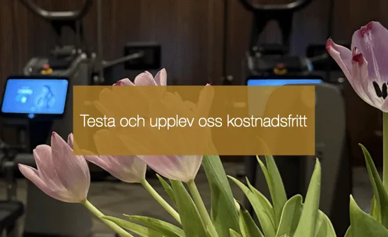 Happy Societies — träningsstudio i Växjö — 3