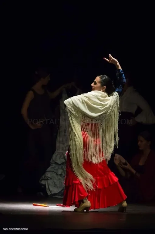 Cristina Redondo - Escuela de Danza y Flamenco — baile-studio en Valladolid — 3