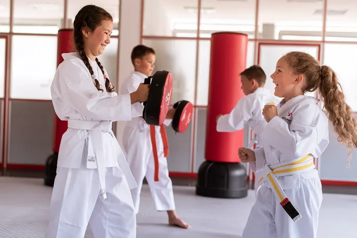 Karate Geiger Dresden — kampfsport-studio in Dresden — 4