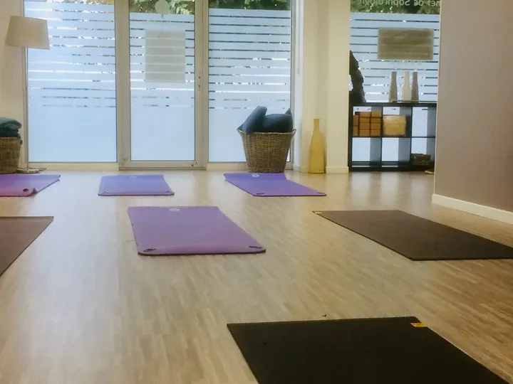 Asana Yoga 43 Rue Chabaud — yoga-studio à Quartier Centre Ville, Reims — 3