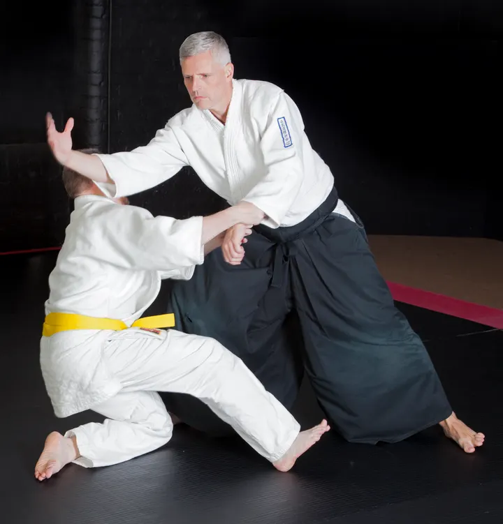 Aikido Seishin Kai — martial arts-studio in Hollins, Dukinfield — 3