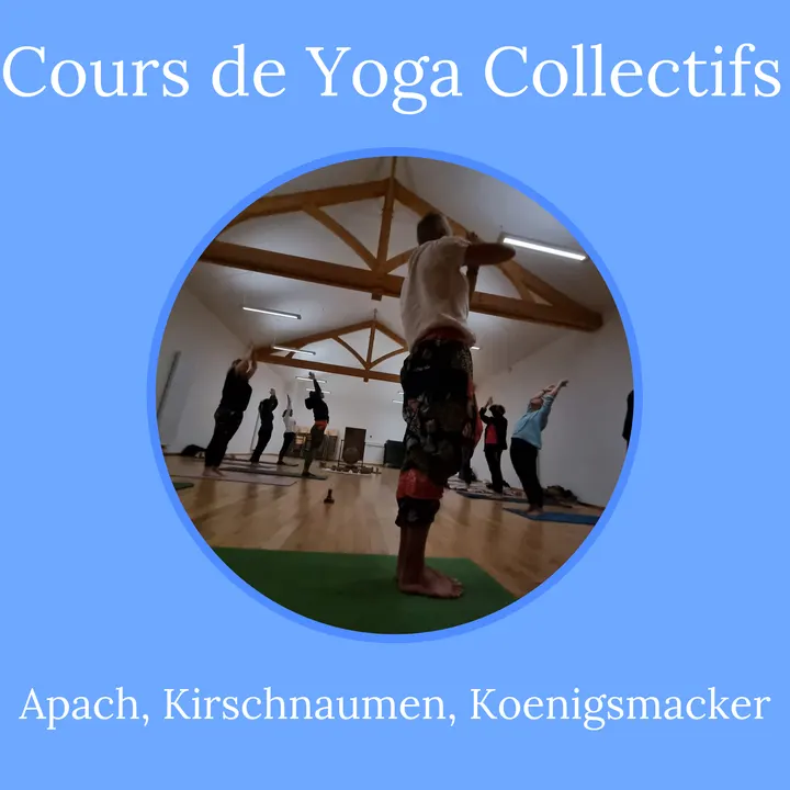 Association Yoga et Bien-Etre Moselle — yoga-studio à Kirschnaumen — 4