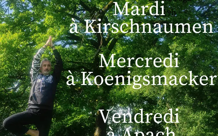 Association Yoga et Bien-Etre Moselle — yoga-studio à Kirschnaumen — 5