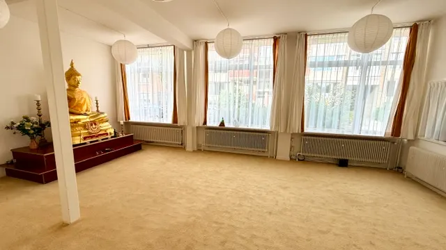 Freedom Vibes — yoga-studio in Centrum, Groningen — 2